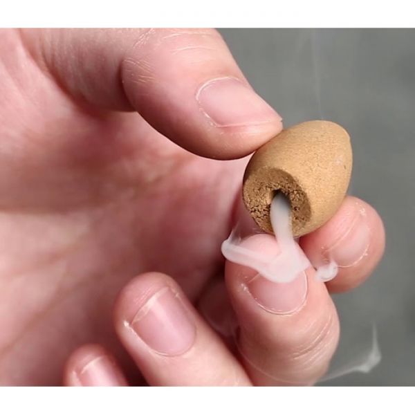 Ароматические конусы для Backflow Ayurvedic BACK FLOW Конусы Цитронелла